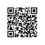 RNC55H3970BSRSL QRCode