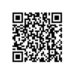 RNC55H4171FSRSL QRCode