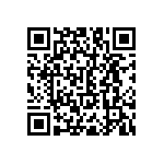 RNC55H5300BSBSL QRCode