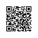 RNC55J1022BSB14 QRCode