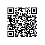 RNC55J1102DSRE6 QRCode