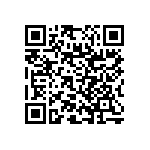 RNC55J1304BSRSL QRCode