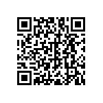 RNC55J1311BSB14 QRCode