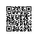 RNC55J1333BSB14 QRCode