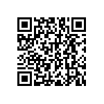 RNC55J1753BSB14 QRCode