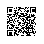 RNC55J2132BSBSL QRCode