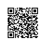 RNC55J2871FSRSL QRCode