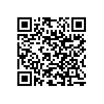 RNC55J2873BSRE6 QRCode