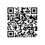 RNC55J2941BSBSL QRCode