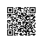 RNC55J3002BSRE6 QRCode