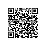 RNC55J3003BSRE6 QRCode