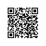 RNC55J3011FPBSL QRCode