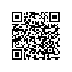 RNC55J3051BSRSL QRCode