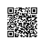 RNC55J4022BRBSL QRCode