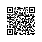 RNC55J4070BSBSL QRCode