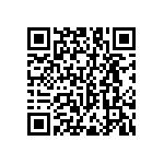 RNC55J4531FSBSL QRCode