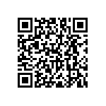 RNC55J4813BSBSL QRCode