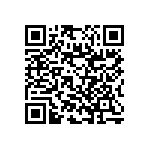 RNC55J56R2BSBSL QRCode