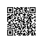 RNC55J6121BSBSL QRCode