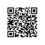 RNC55K33R2FSBSL QRCode