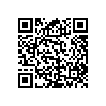 RNC60J3001FSBSL QRCode