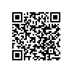 RNCF0402BKE910R QRCode