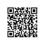 RNCF0402DTC4K53 QRCode