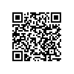 RNCF0603BTC63K4 QRCode