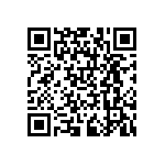 RNCF0805BTC301K QRCode