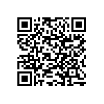 RNCF1206BKE1K13 QRCode