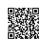 RNCF1206BKE287K QRCode