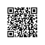 RNCF1206BKE2K20 QRCode