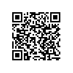 RNCF1206BTE13K0 QRCode