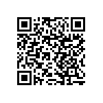 RNCF1206BTE13K2 QRCode