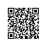 RNCF1206DKE300K QRCode