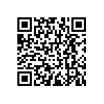 RNCF1206DTC16R9 QRCode