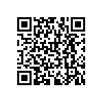 RNCF1210BTE300K QRCode