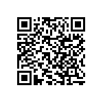 RNCF2512BKE1M24 QRCode