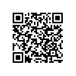 RNCF2512BTC13R7 QRCode