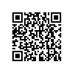 RNCF2512BTC300K QRCode