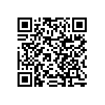 RNCF2512BTC33K2 QRCode