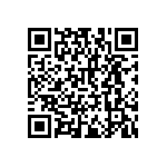 RNCF2512BTE124R QRCode