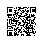 RNCF2512BTE13K3 QRCode