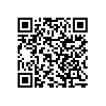 RNCF2512BTE1M91 QRCode