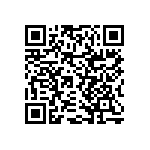 RNCF2512BTE3K32 QRCode