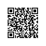 RNCF2512BTE4K53 QRCode