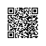 RNCF2512DKE1M13 QRCode