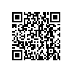 RNCF2512DKE1M91 QRCode