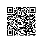 RNCF2512DKE383K QRCode