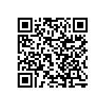 RNCF2512DTC17K4 QRCode